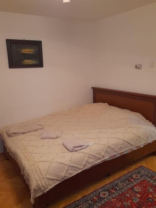 Emese Central Vintage Apartment Târgu-Mureş Extérieur photo