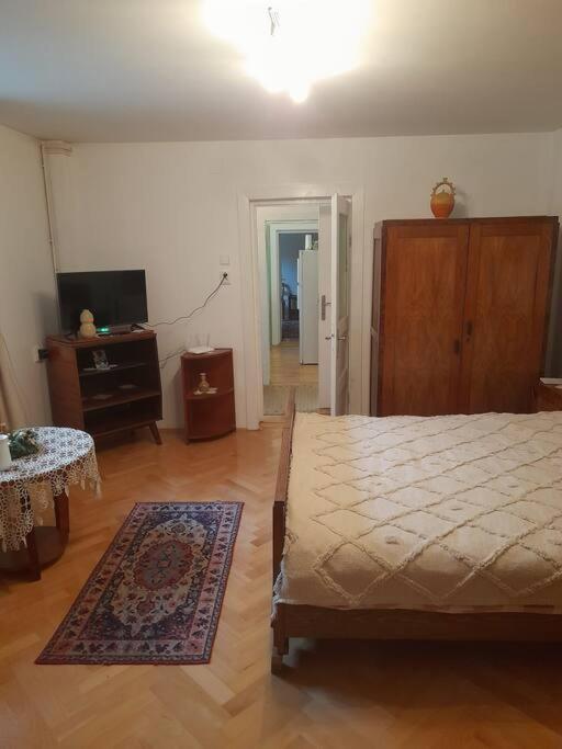 Emese Central Vintage Apartment Târgu-Mureş Extérieur photo
