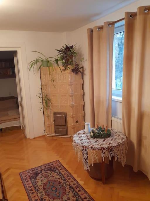 Emese Central Vintage Apartment Târgu-Mureş Extérieur photo