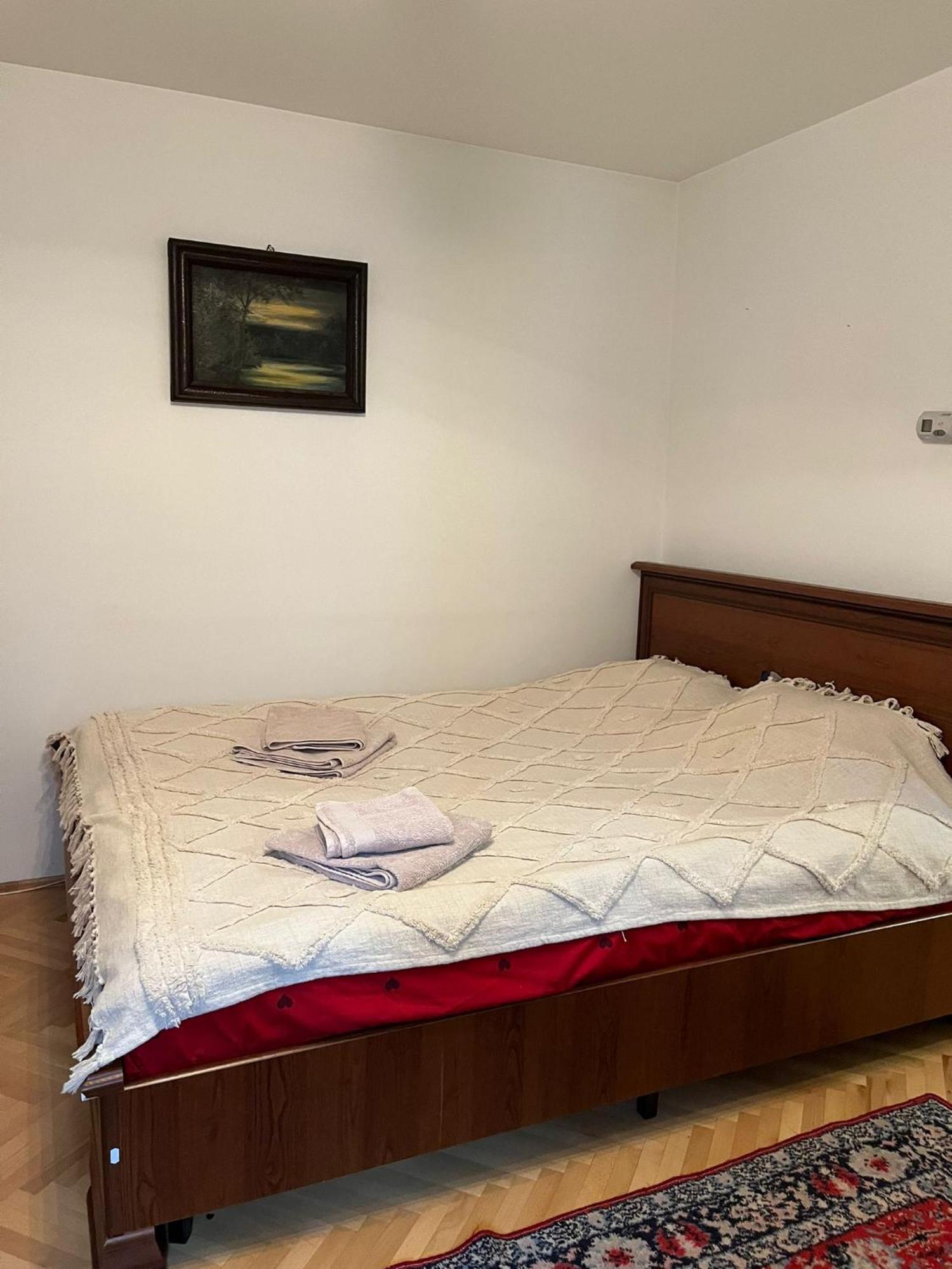 Emese Central Vintage Apartment Târgu-Mureş Extérieur photo