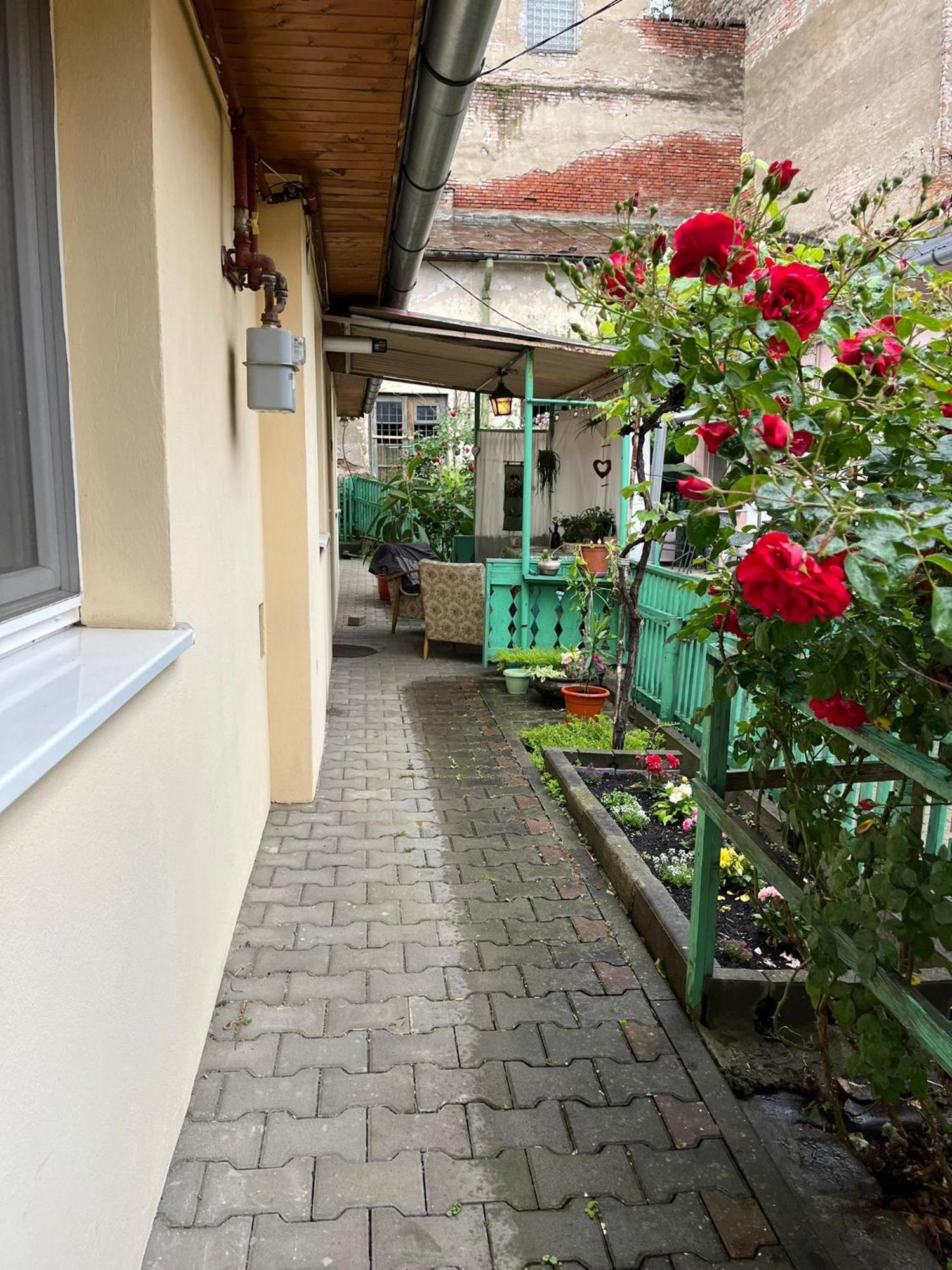 Emese Central Vintage Apartment Târgu-Mureş Extérieur photo